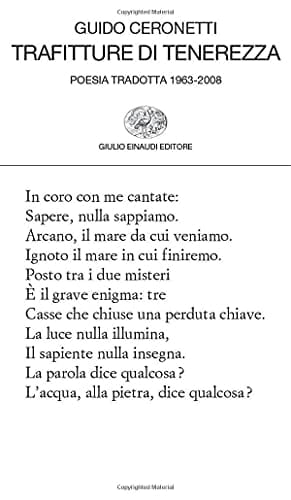 Trafitture di tenerezza. Poesia tradotta 1963-2008