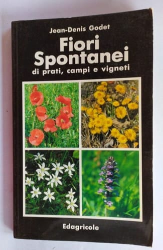 Fiori spontanei di prati, campi e vigneti