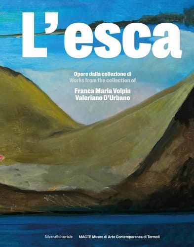 L'esca opere dalla collezione di Franca Maria Volpin, Valerio D'Urbano