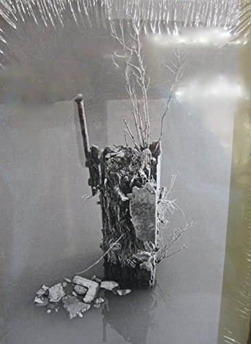 Microtome Pádraig Timoney, 2014