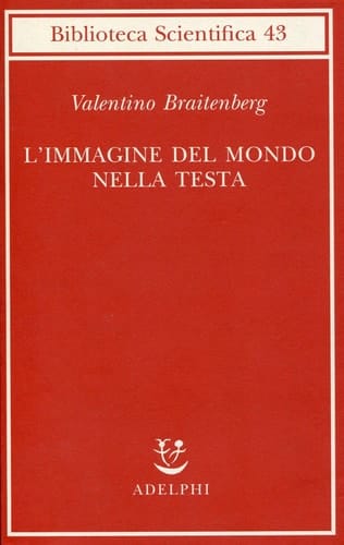 L'immagine del mondo nella testa