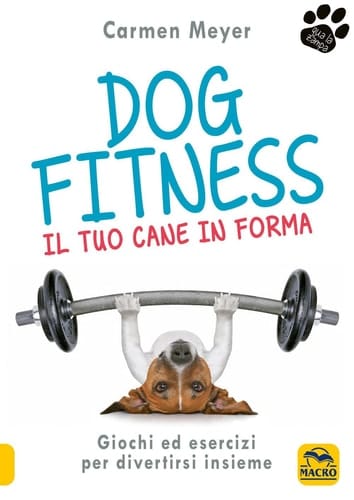 Dog fitness il tuo cane in forma