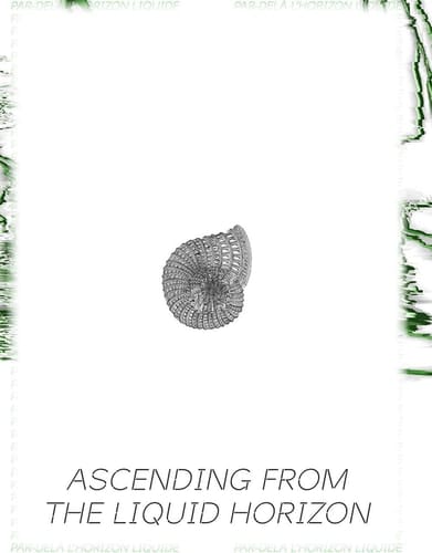 Ascending from the Liquid Horizon. Contemporary Visions of a Changing World. Ediz. Illustrata