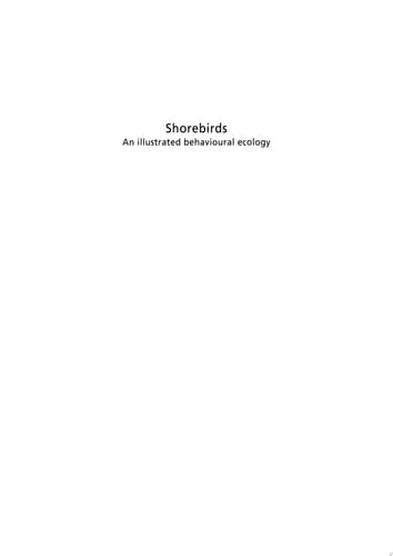Shorebirds An Illustrated Behavioural Ecology