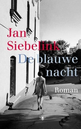 De blauwe nacht: roman (Dutch Edition)