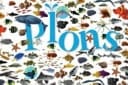 Plons