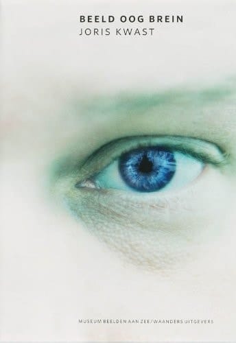 Beeld oog brein over beeldhouwkunst en visuele zeggingskracht