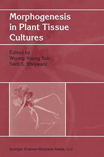 Morphogenesis in Plant Tissue Cultures