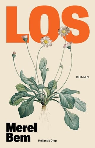 Los