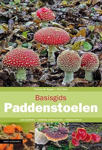 Basisgids paddenstoelen