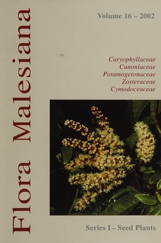 Caryophyllaceae