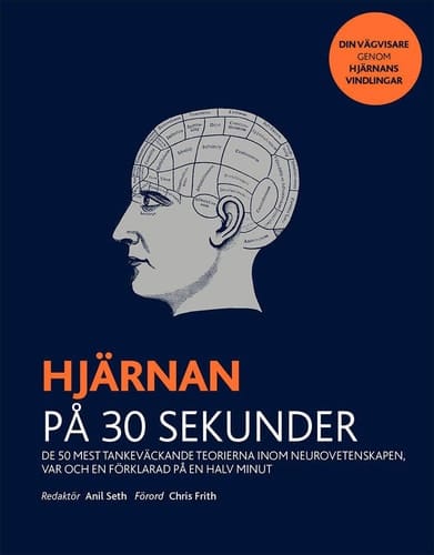 Hjärnan på 30 sekunder