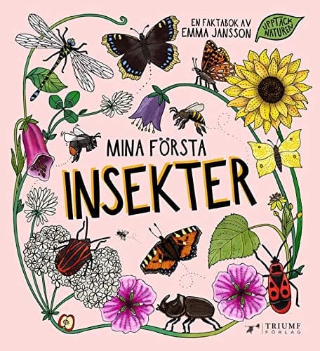 Mina första insekter