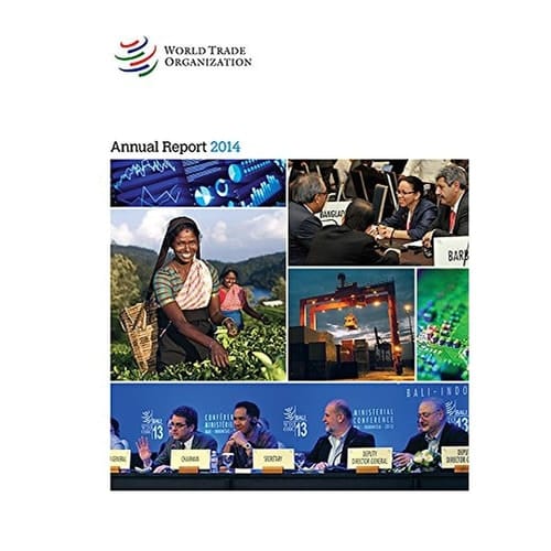 Rapport Annuel 2014