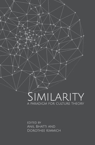 Similarity A Paradigm for Culture Theory