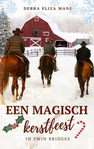 Een magisch kerstfeest in Twin Bridges
