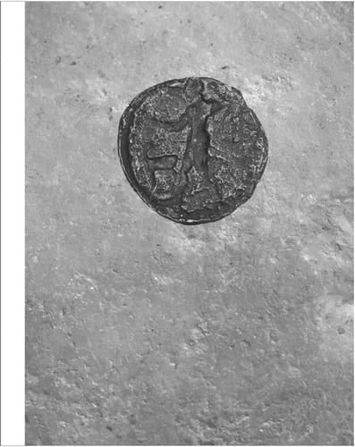 Heads and Tails - Tales and Bodies Engraving the Human Figure from Antiquity to the Early Modern Period