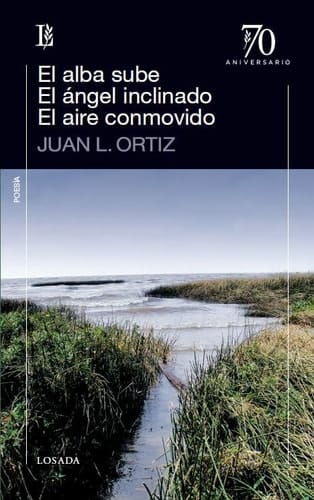 El alba sube. El ángel inclinado. El aire conmovido