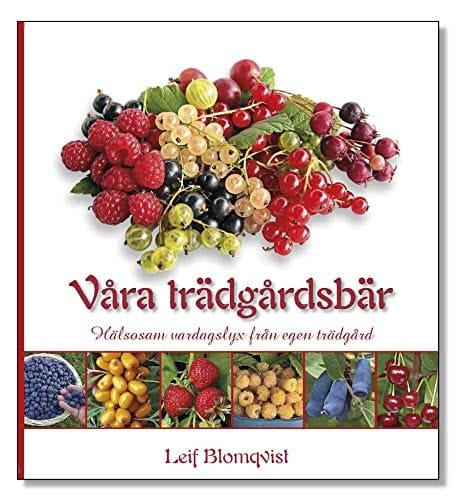 Våra trädgårdsbär - hälsosam vardagslyx från egen trädgård