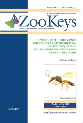 Revision of the Bee Genus Chlerogella (Hymenoptera, Halictidae), Part II: South American Species and Generic Diagnosis