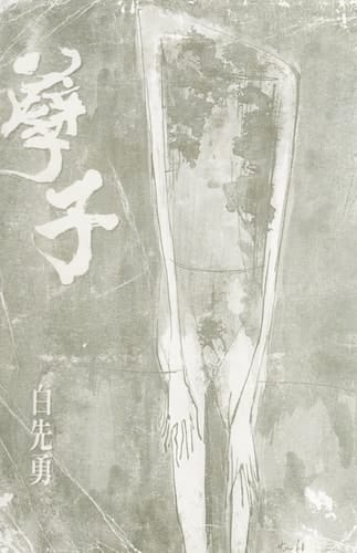 Nie zi (Crystal Boys, in traditional Chinese, NOT in English)