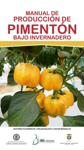 Manual de producción de pimentón bajo invernadero