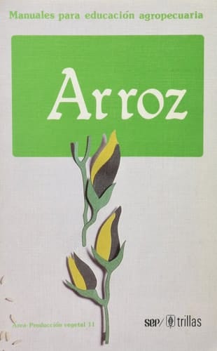 Arroz