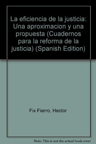 La eficiencia de la justicia una aproximación y una propuesta