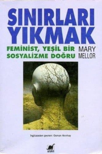 Sınırları yıkmak feminist, yeşil bir sosyalizme doğru