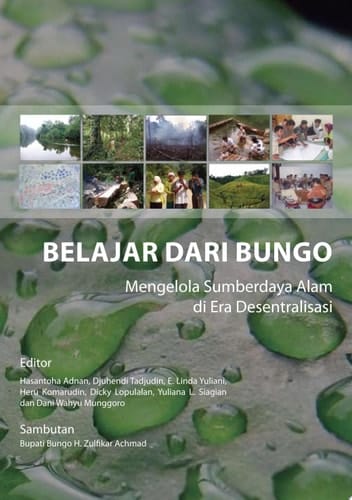 Belajar dari Bungo: mengelola sumberdaya alam di era desentralisasi