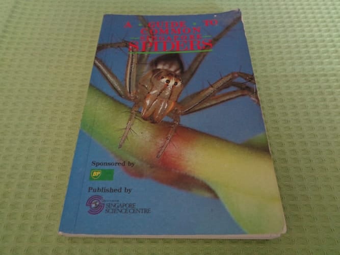 A Guide to Common Singapore Spiders