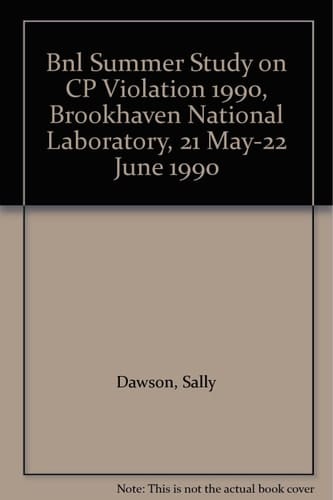 CP Violation The BNL Summer Study