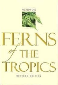 Ferns of the Tropics