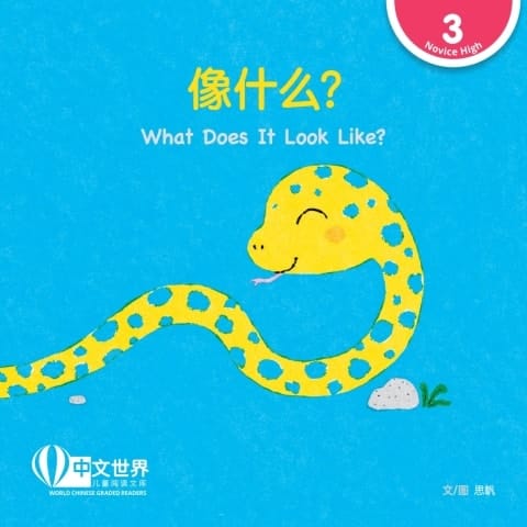 What Does It Look Like? (Level 3)
