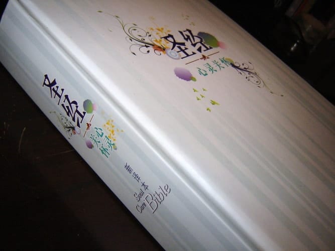 CNV Soul Care Study Bible / Chinese Language Edition / Chinese New Version Counseling Bible / Simplified Characters / Shen Edition / The Soul Care Bible Experiencing And Sharing Hope God's Way
