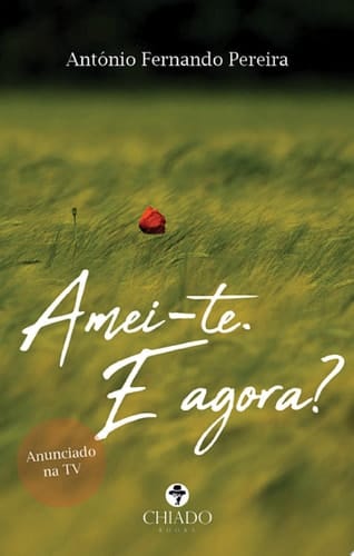 Amei-te. E agora?