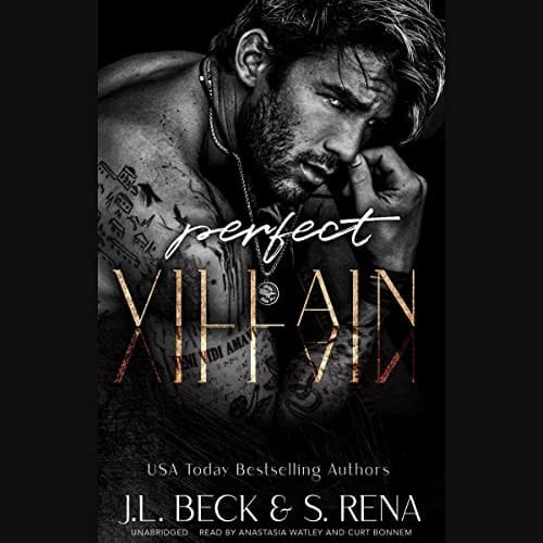 Perfect Villain (The Dark Lies Duet) (Dark Lies, 1)