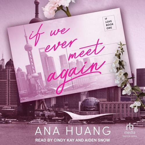 If We Ever Meet Again (The If Love Series) (If Love, 1)