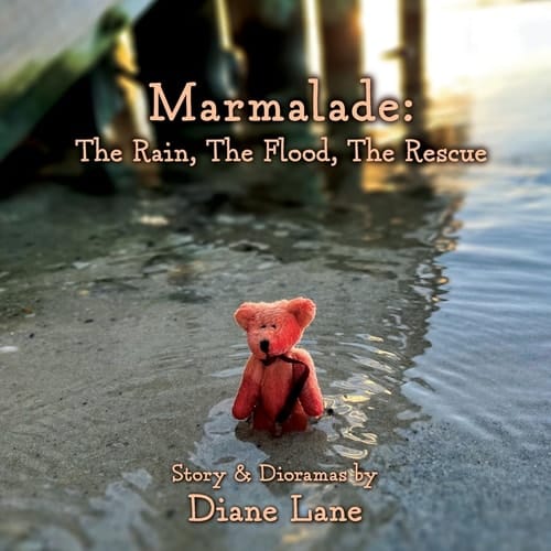 Marmalade The Rain, The Flood, The Rescue
