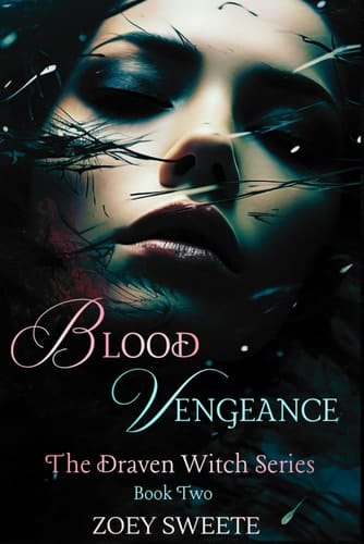 Blood Vengeance The Draven Witch Series Book Two