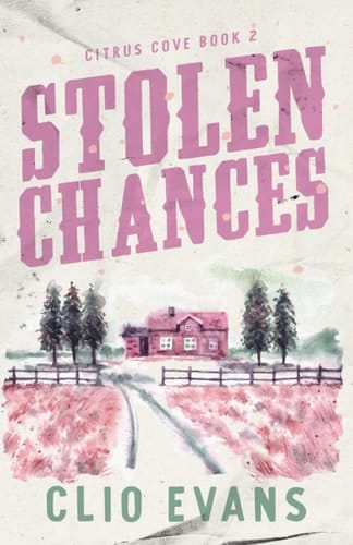 Stolen Chances A Single Mom, MMF, Small Town Romance Suspense