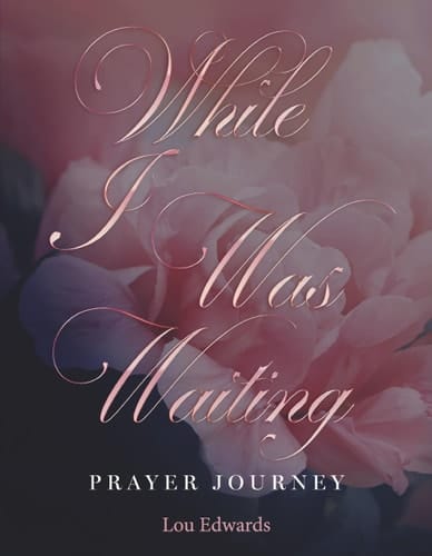 While I Was Waiting Prayer Journey