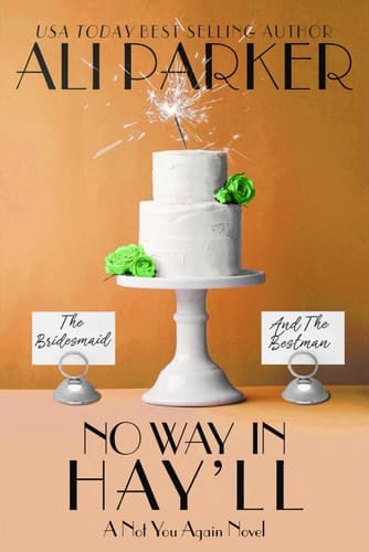 No Way in Hay'll (A Not You Again Novel)