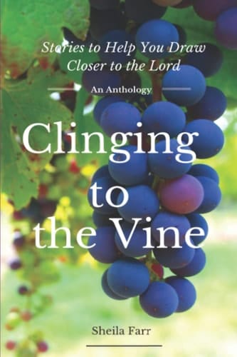 Clinging to the Vine: Stories to Help You Draw Closer to the Lord