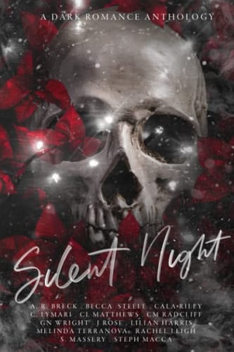 Silent Night: A Dark Romance Anthology