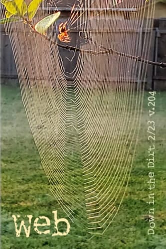 Web: 2/23 Down in the Dirt, v204