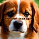 Hey, That's A Cute Puppy.