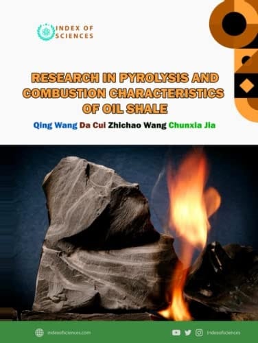 Research In Pyrolysis And Combustion Characteristics Of Oil Shale