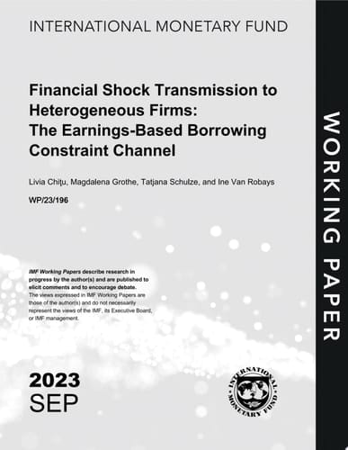Financial Shock Transmission to Heterogeneous Firms: The Earnings-Based Borrowing Constraint Channel