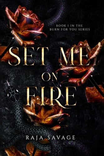 Set Me on Fire A Dark Enemies-to-Lovers Suspense